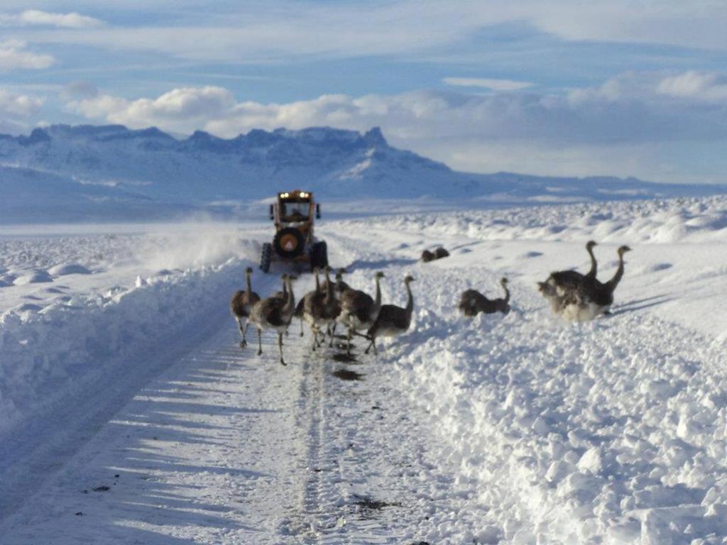 Apart El Nevado Malarguee Экстерьер фото